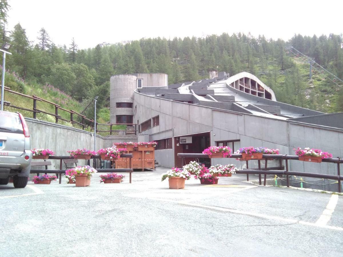 Soldanella Cervinia Vda Vacanze In Vetta Cir 0253 Appartement *